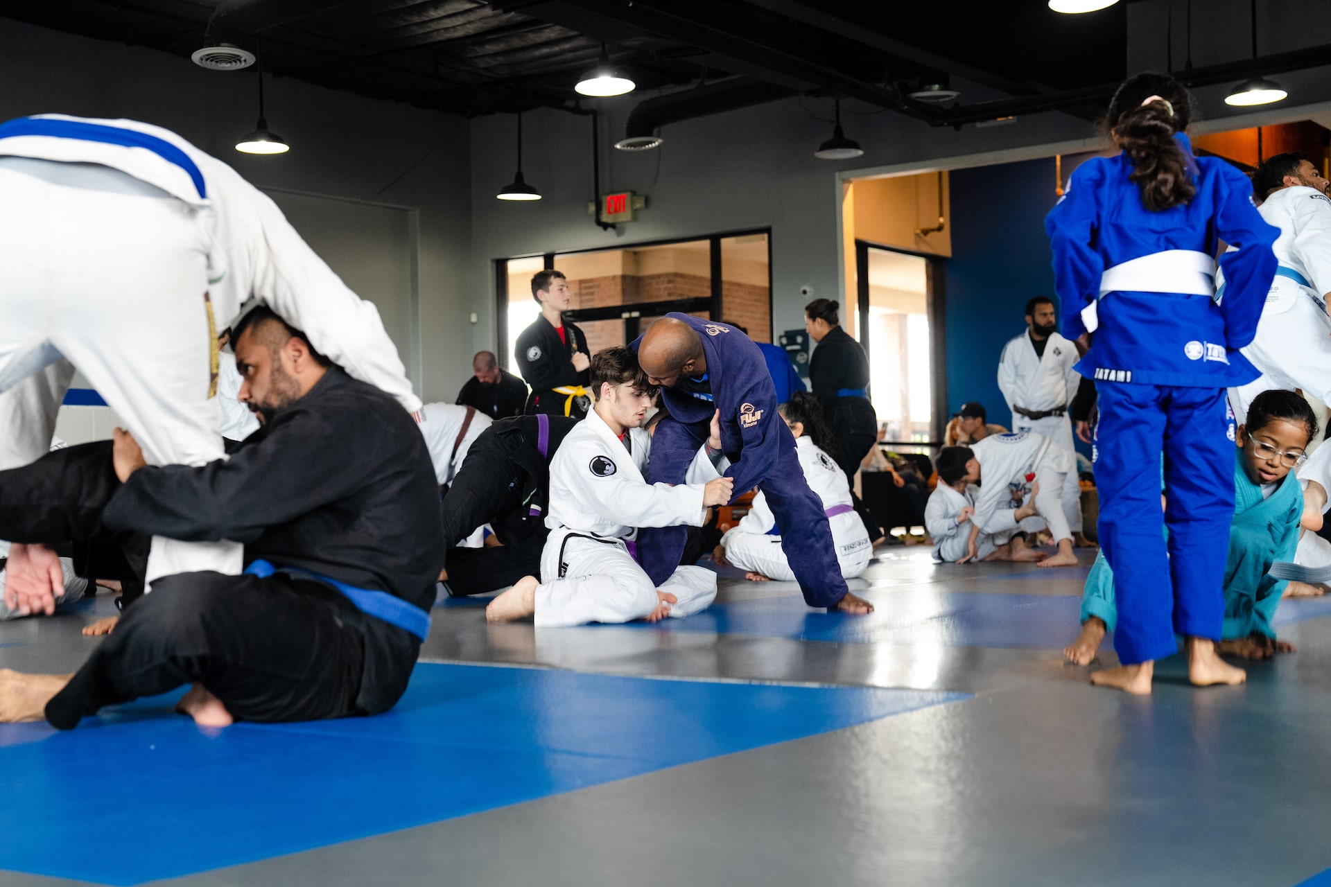 Adult Brazilian Jiu Jitsu Image